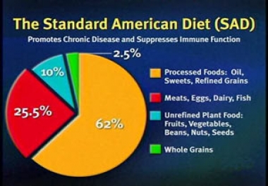 the_standard_american_diet_sad_is_actually_making_people_less_healthy__-1vpohu1498928020